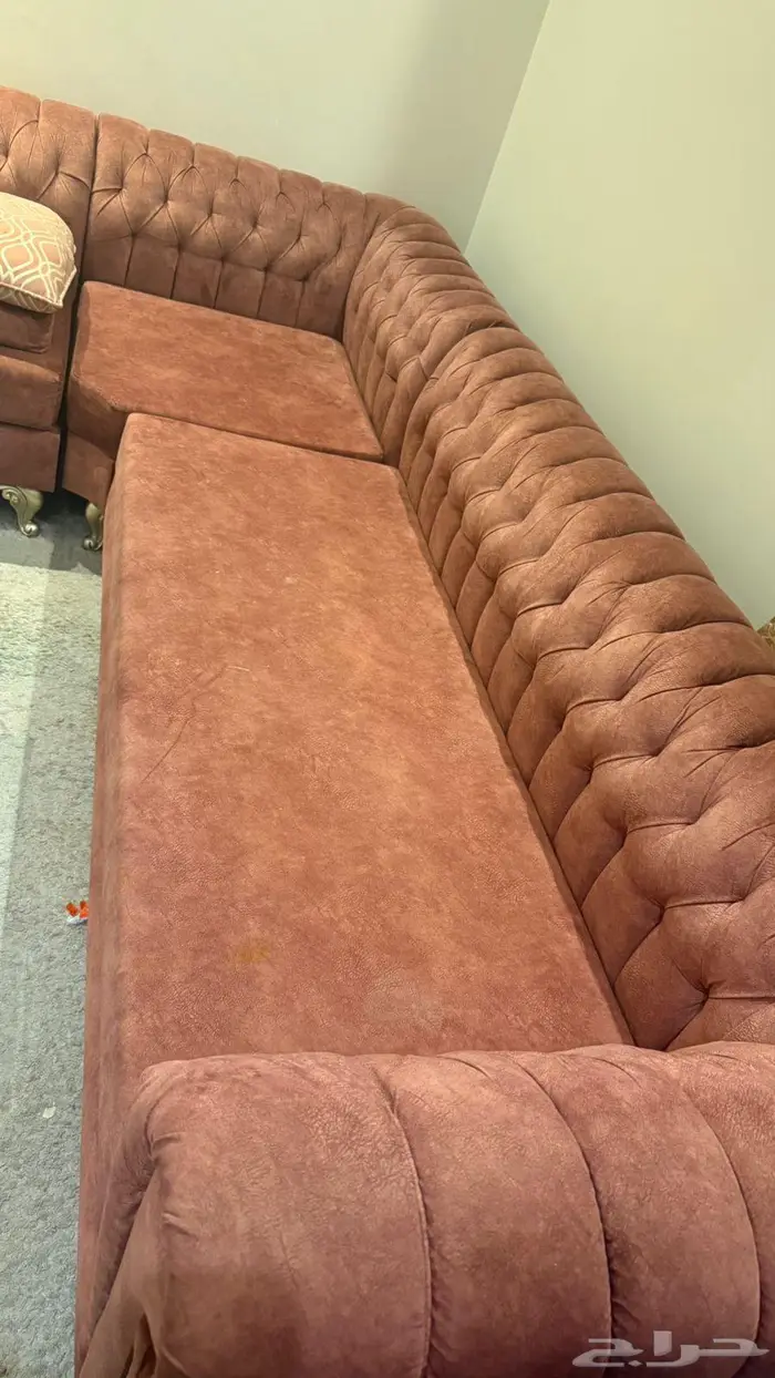 كنبات مجالس 0