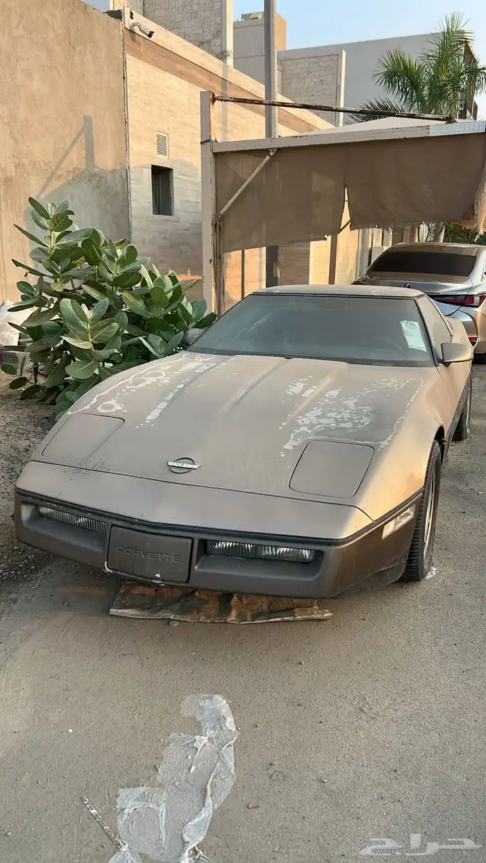 كورفيت 1984 بطاقة جمركية 3