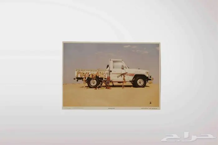 صورة بر مع جيب شاصي 0