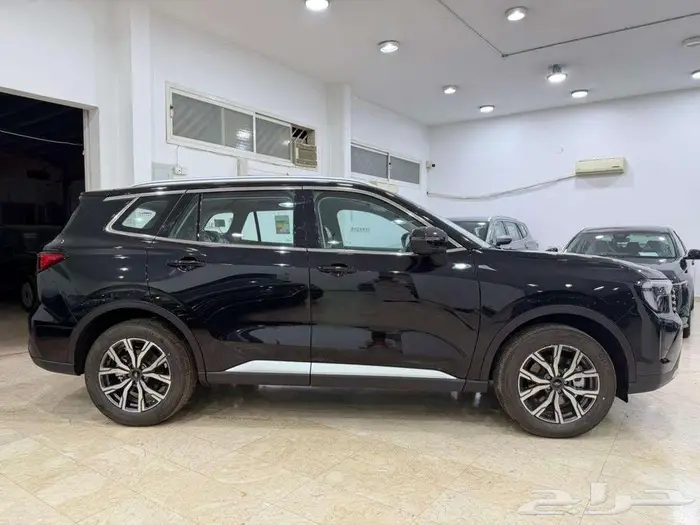 فورد تريتورى ترند-أسود موديل- 2026 4