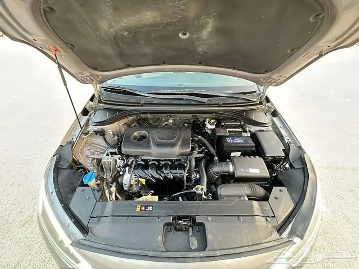 النترا 2020 31