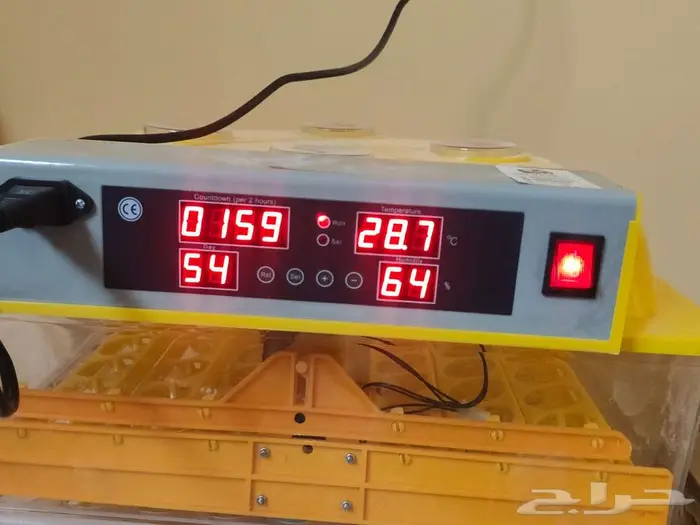 فقاسة فقاشه بيض الاحساء المبرز 1