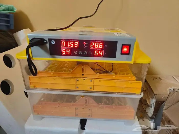 فقاسة فقاشه بيض الاحساء المبرز 0