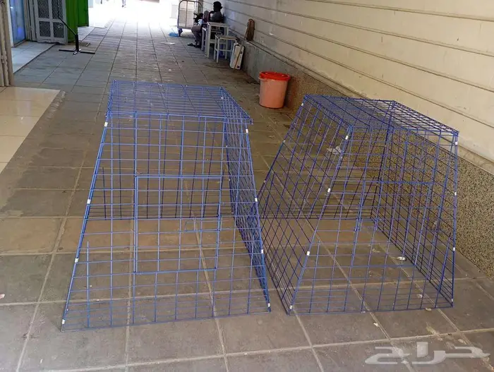 المدينه المنوره 2