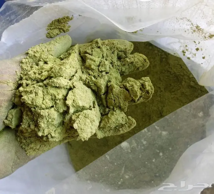 حناء ينبع النخل 0