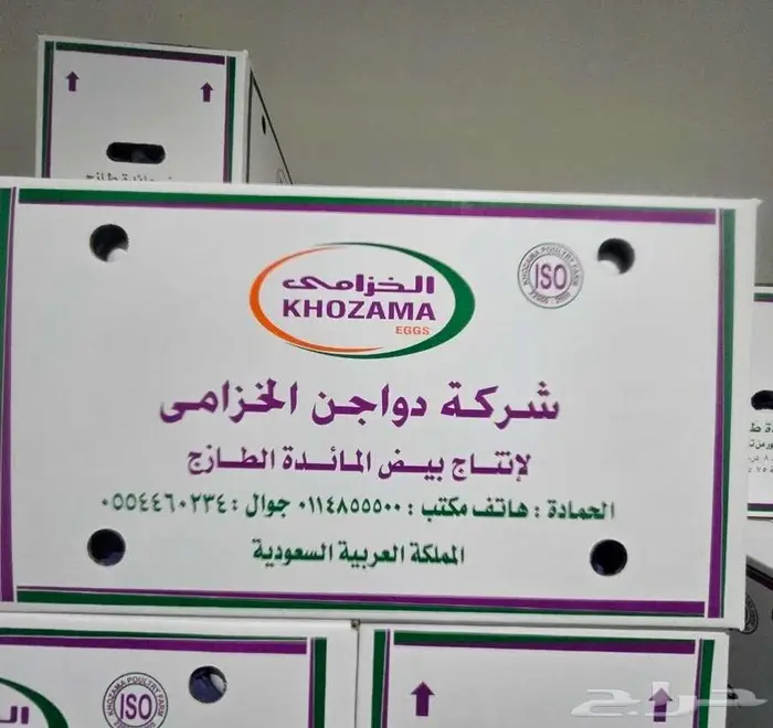 Any kind of Egg. بيض جملة 2