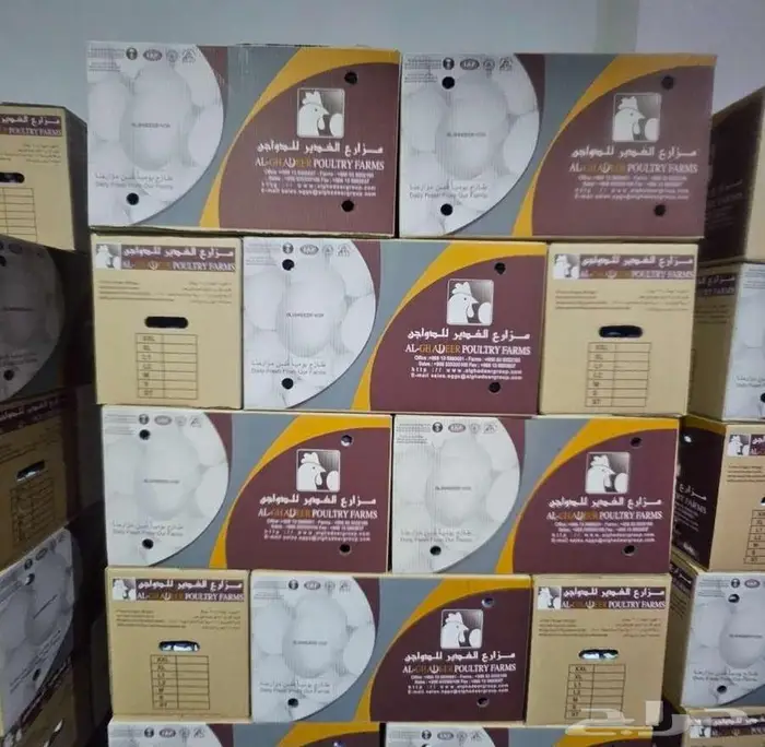 Any kind of Egg. بيض جملة 0