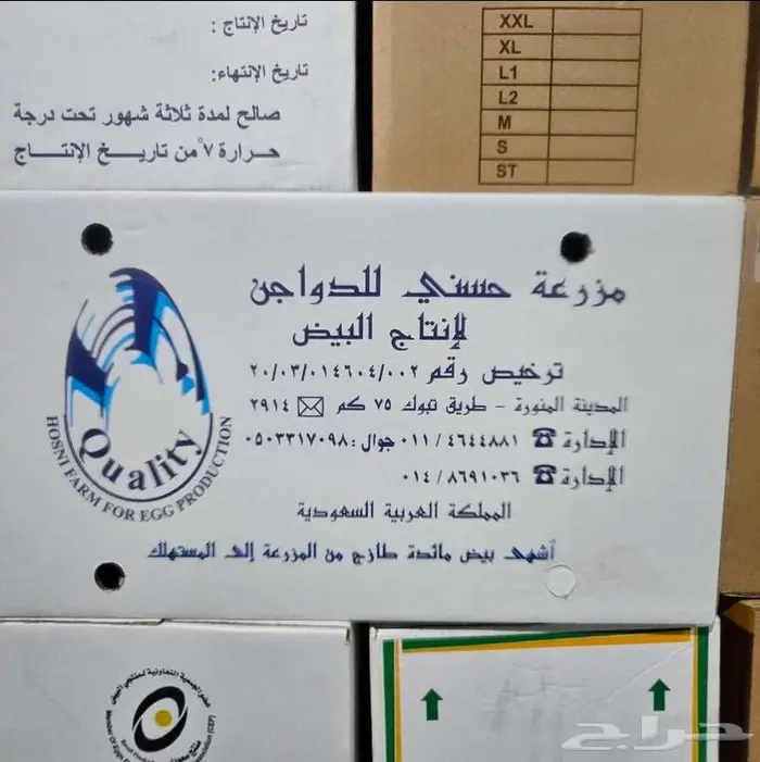 Any kind of Egg. بيض جملة 3