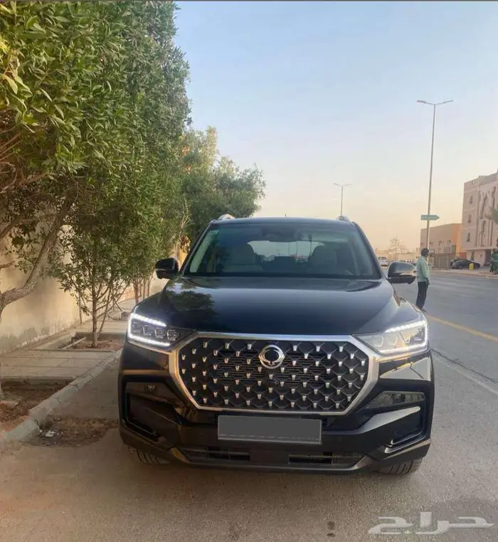 سانج يونج ( ريكستون ) 0