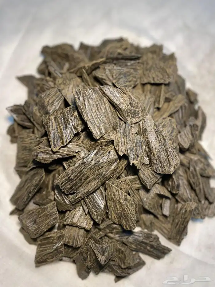 جميع أنواع العود بأقل الأسعار 4