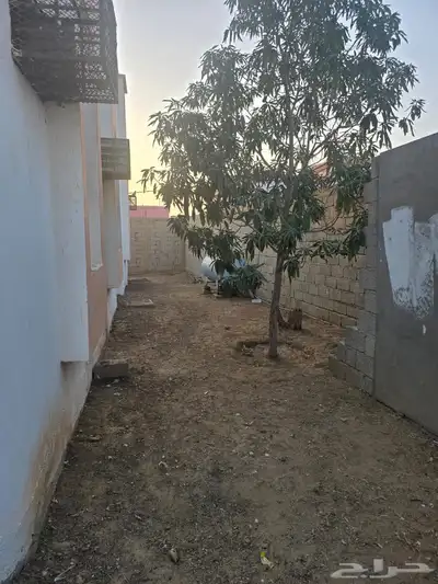 ايجار دور ارضي index