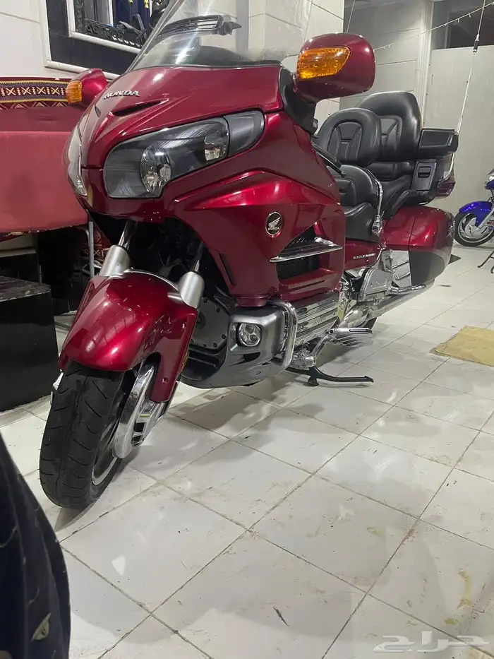 قولد وينق 2013 6