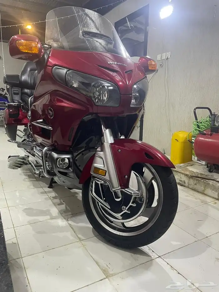 قولد وينق 2013 3