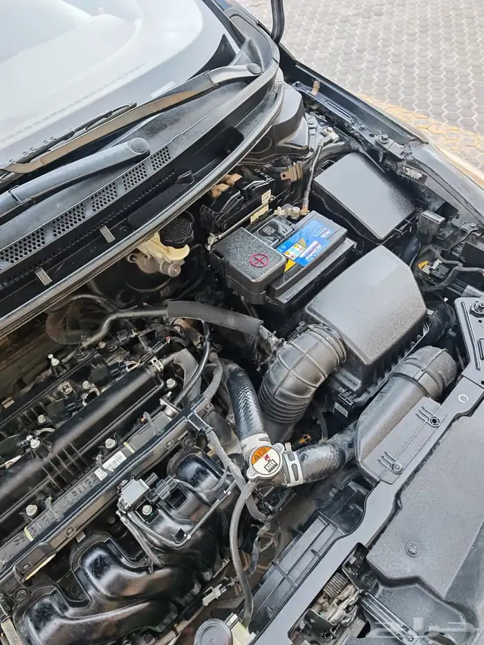 سيراتو نظظيييف 2017 38