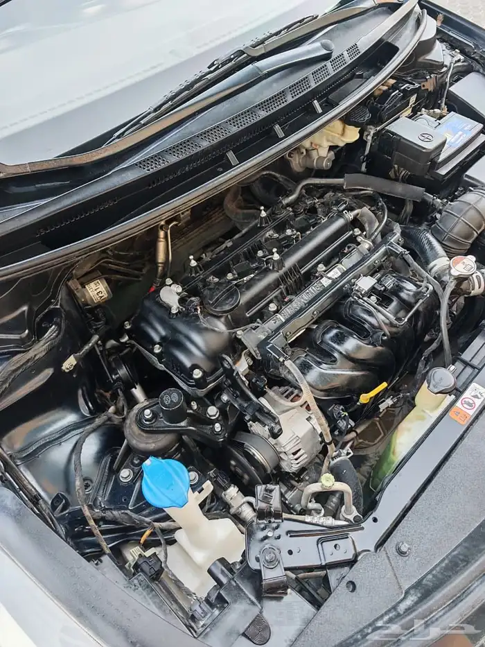 سيراتو نظظيييف 2017 21