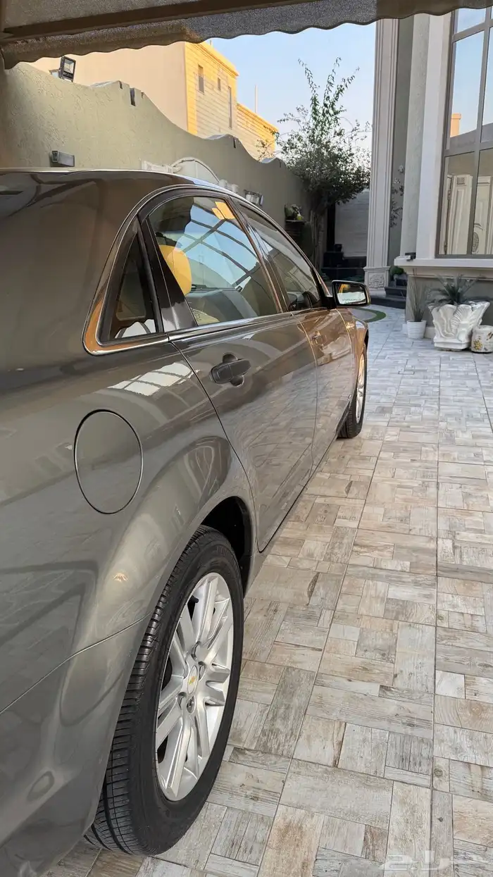 كابرس 2013 LS عشبي بلد . 5