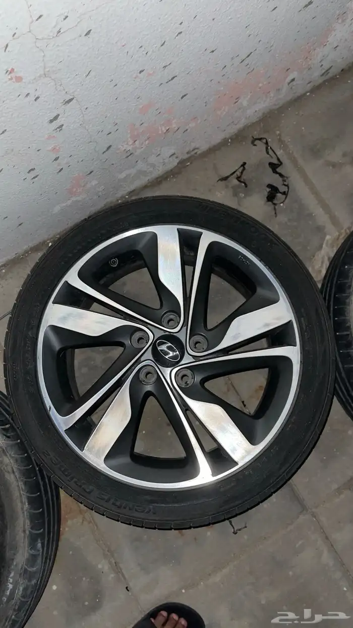 جنوط النترا 1