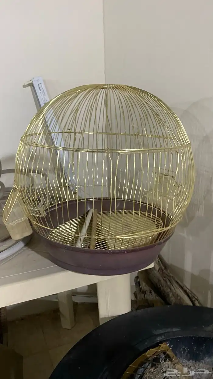 قفص طير مالي عازه فيه 0