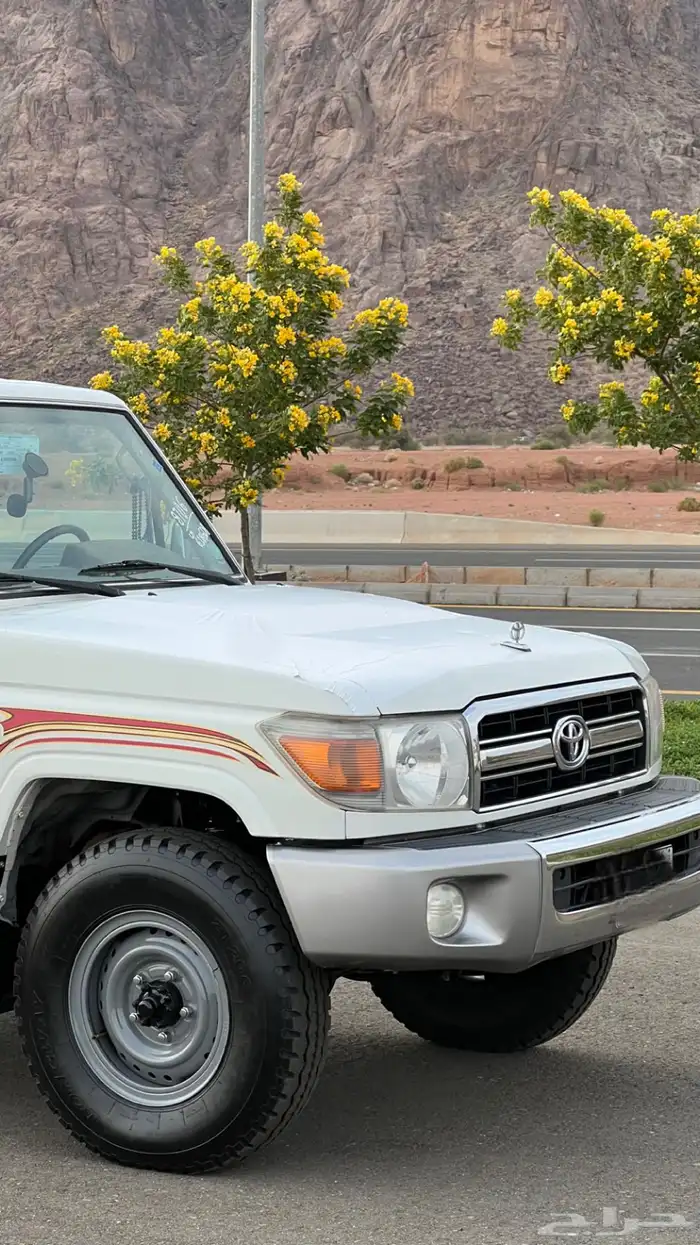 ربع 2009 ممشى 98 الف 2