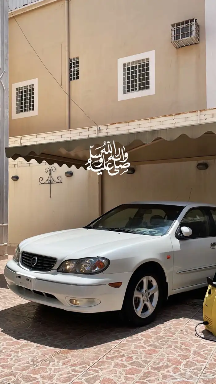 مكسيما 2008 لولوي 6