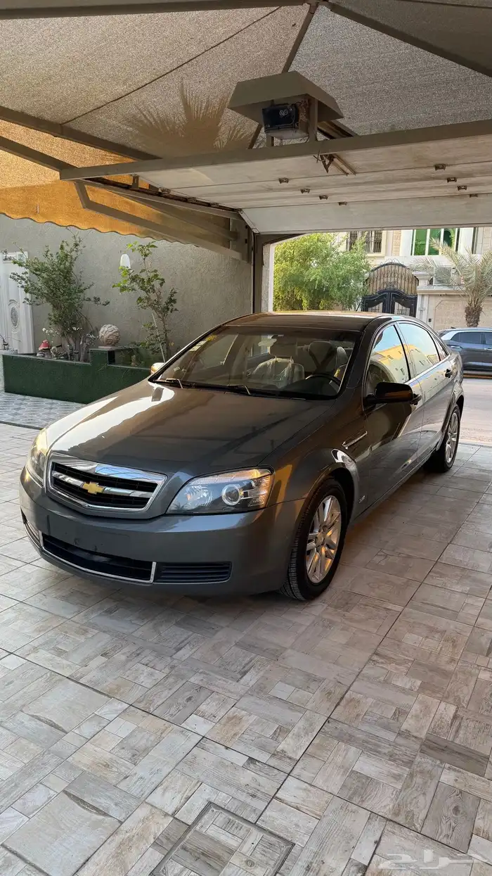 كابرس 2013 LS عشبي بلد . 2