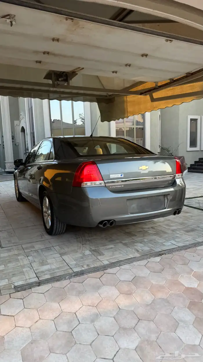 كابرس 2013 LS عشبي بلد . 3