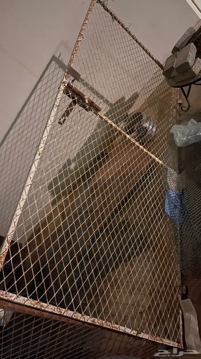 حديد سكراب للبيع 13