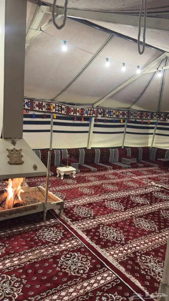 مخيم ام شجرة بنفود الزلفي للايجار اليومي 11