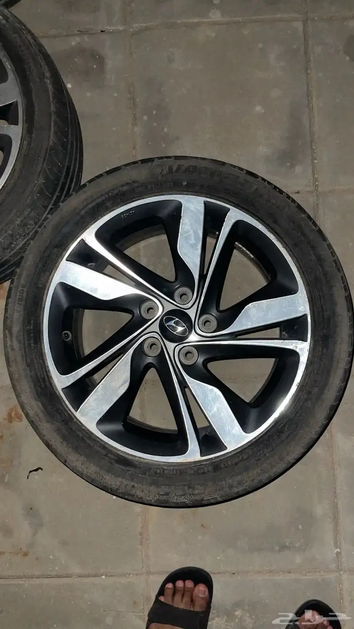 جنوط النترا 3