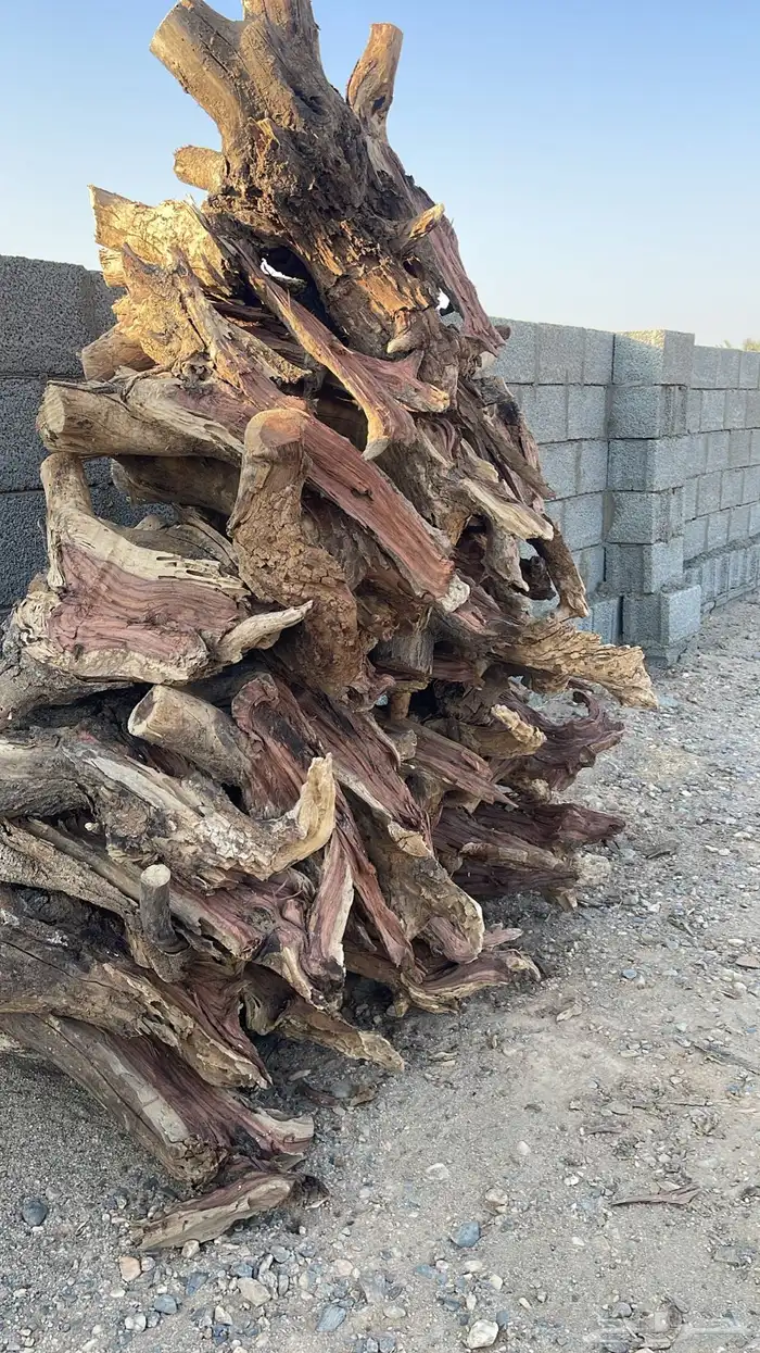 حطب مستورد شبيه السمر 3