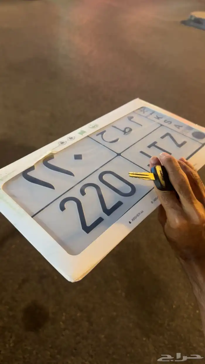 لوحة مميزه 1