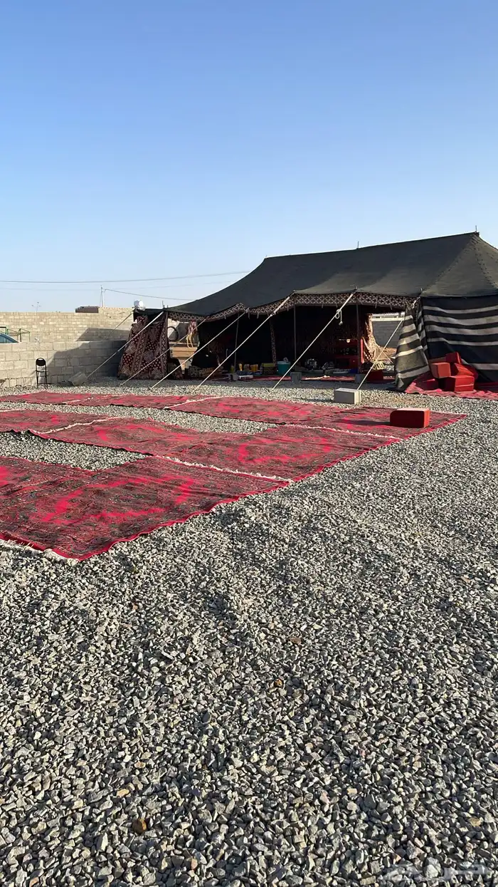 بيت شعر 13متر في 6 متر البيت للبيع 0