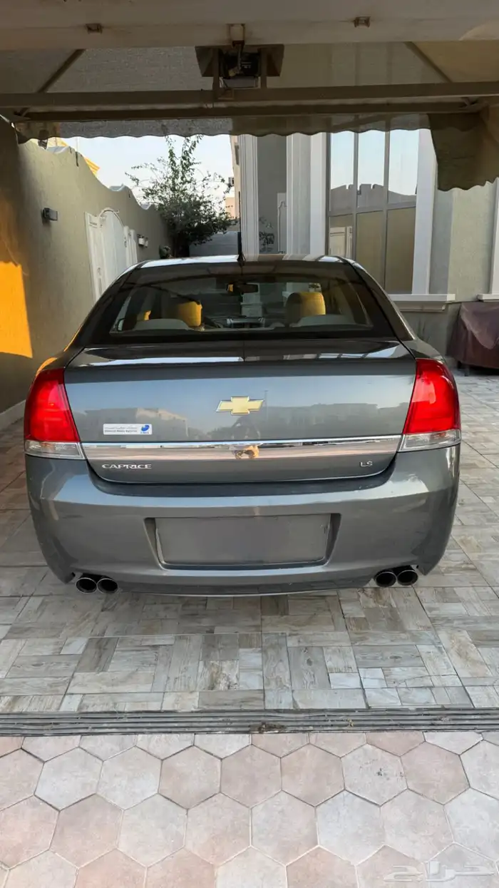 كابرس 2013 LS عشبي بلد . 4