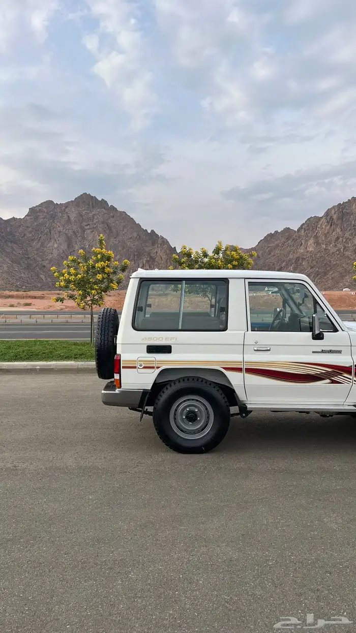 ربع 2009 ممشى 98 الف 10