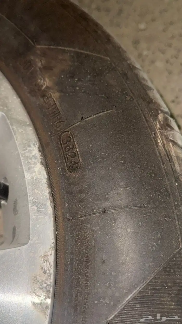 جنوط كابرس 12 التي زد وكاله 2