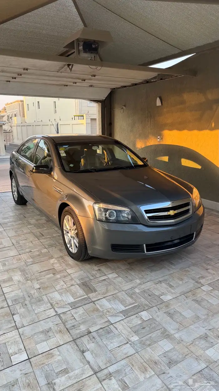 كابرس 2013 LS عشبي بلد . 0