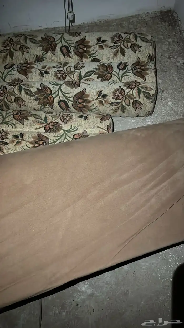 ابي محل في الطائف ياخذون مساند 1