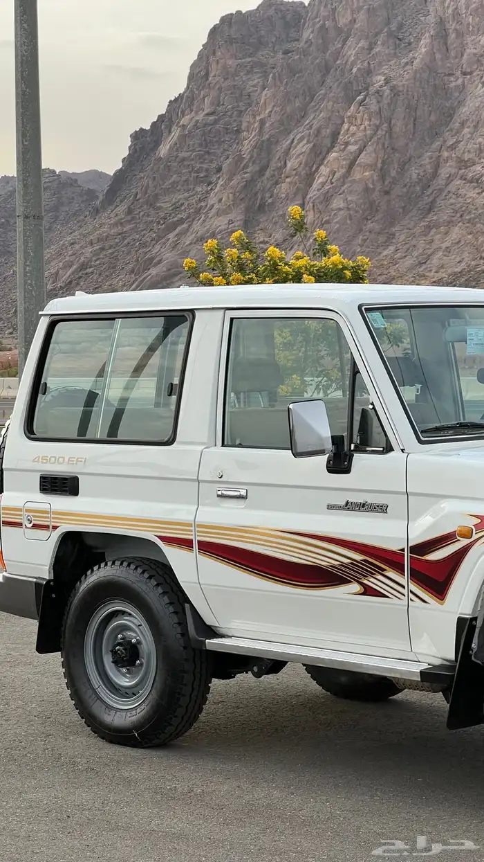 ربع 2009 ممشى 98 الف 7