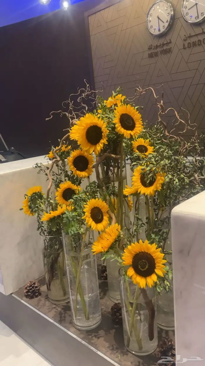 تنسيق حفلات 26