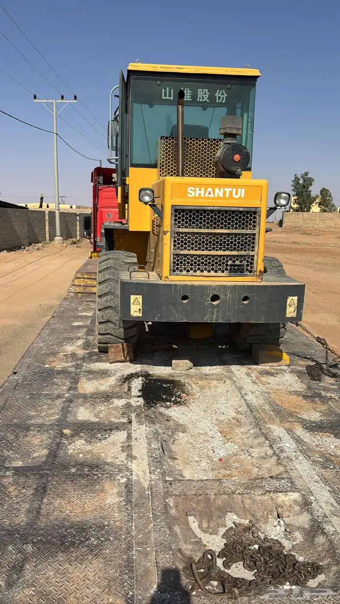 شيول شنتوي2016. صيني للبيع 16