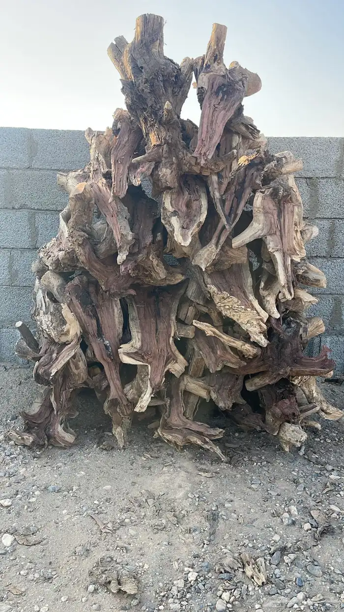 حطب مستورد شبيه السمر 4