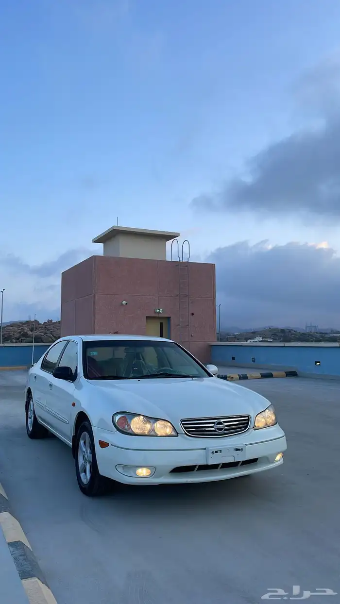 مكسيما 2008 لولوي 1