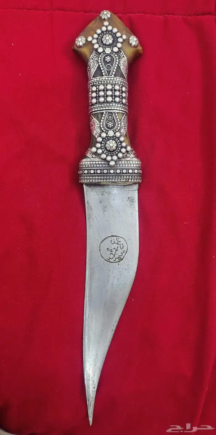 جنبيه شبريه 1