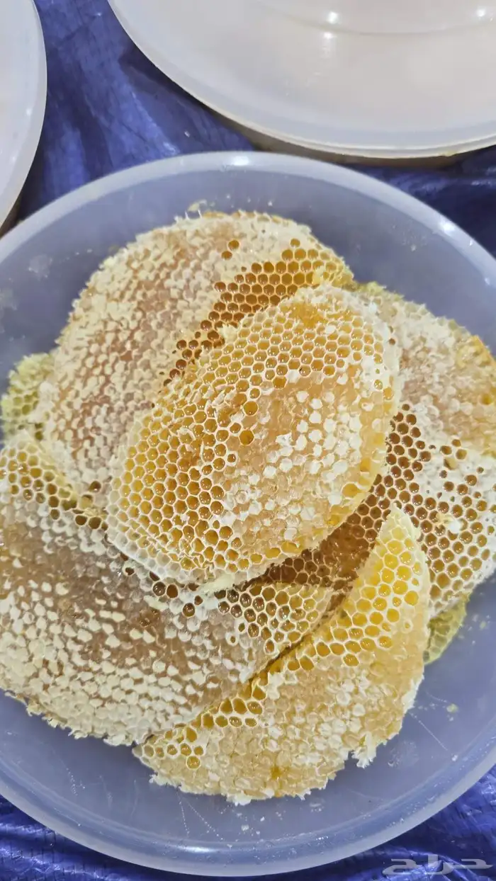 عسل سدر صافي 0