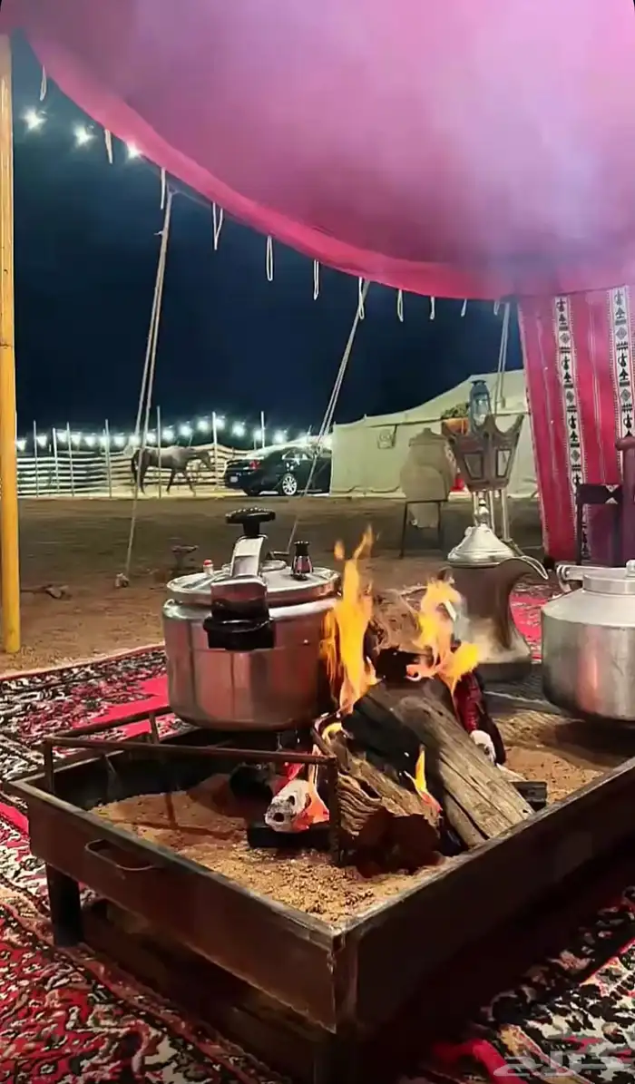 مخيم الدانه البري نقبين (شعيب عانقه) 28