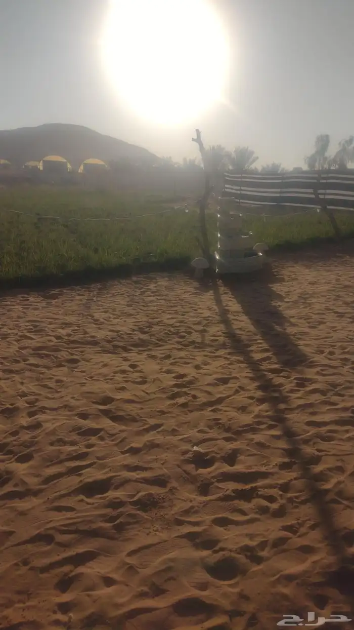 مخيم البستان - جنوب الرياض - الزويليات 0