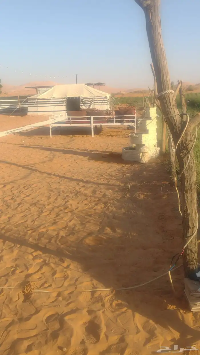 مخيم البستان - جنوب الرياض - الزويليات 8