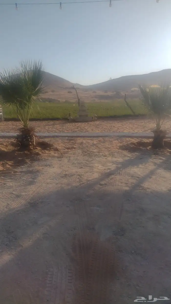 مخيم البستان - جنوب الرياض - الزويليات 7