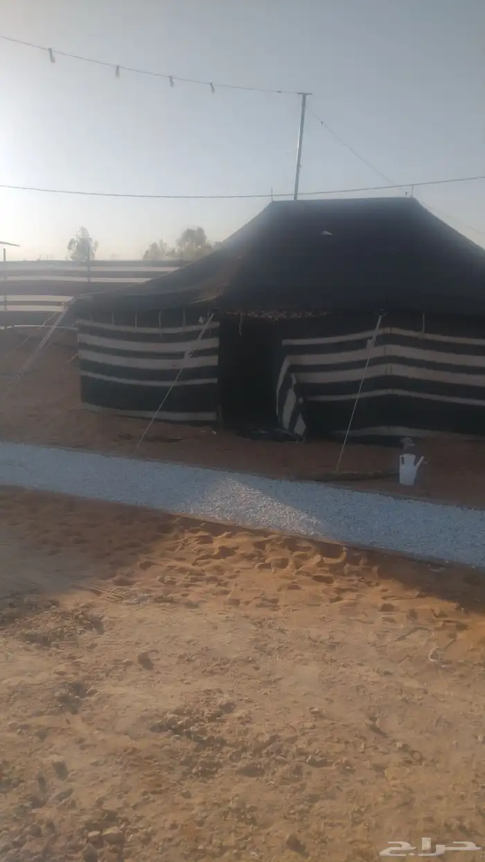 مخيم البستان - جنوب الرياض - الزويليات 9