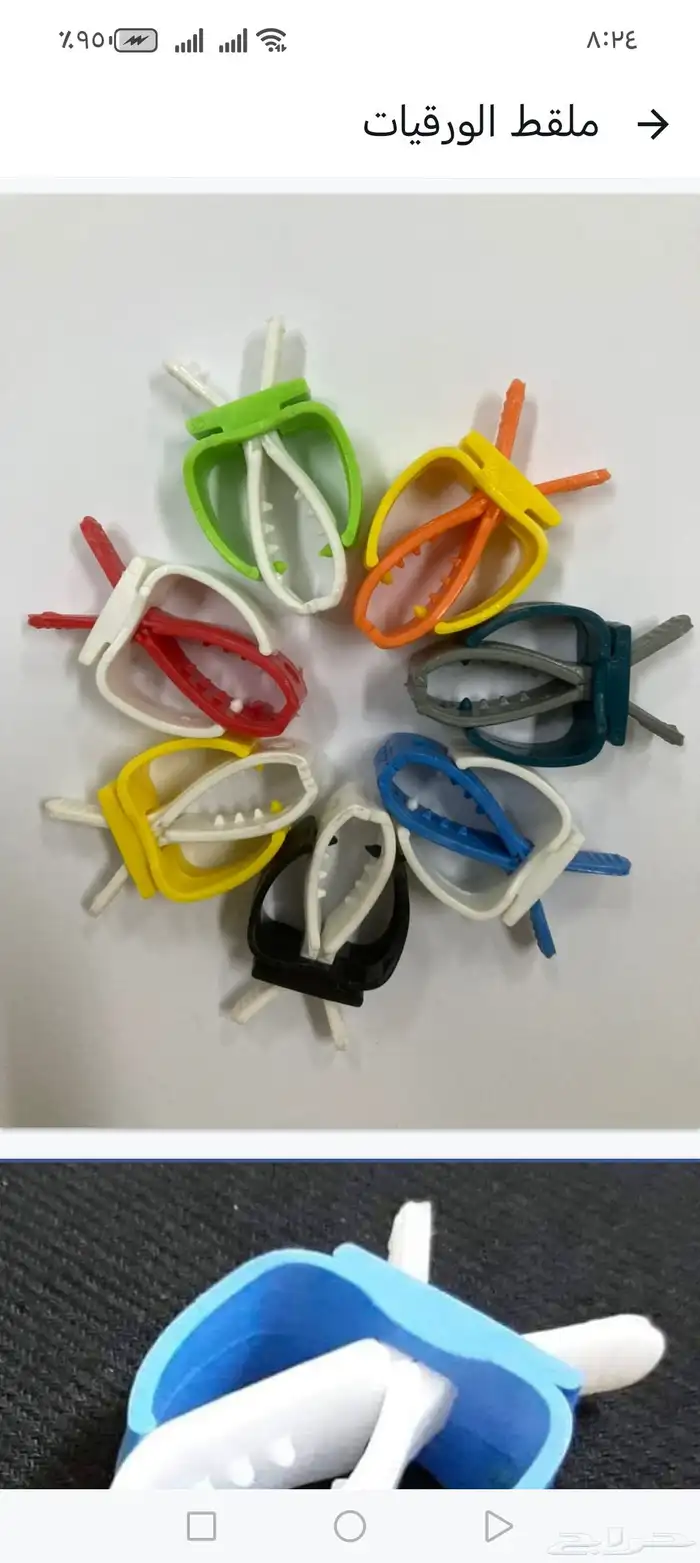 اكل بلبيل.و. وطيور واكل قطط 6